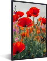 Fotolijst incl. Poster - Klaproos - Bloemen - Rood - Paars - Weide - 80x120 cm - Posterlijst
