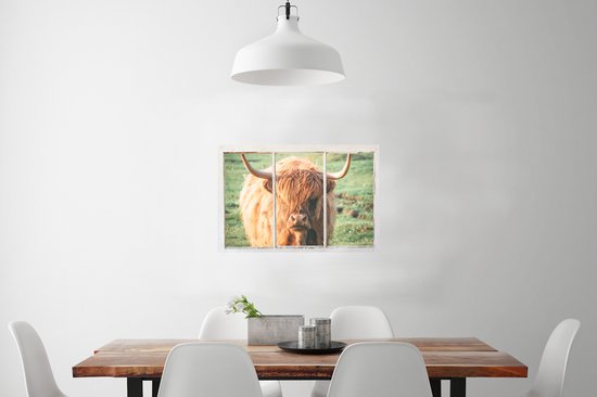 Poster Schotse hooglander - Natuur - Doorkijk - 90x60 cm