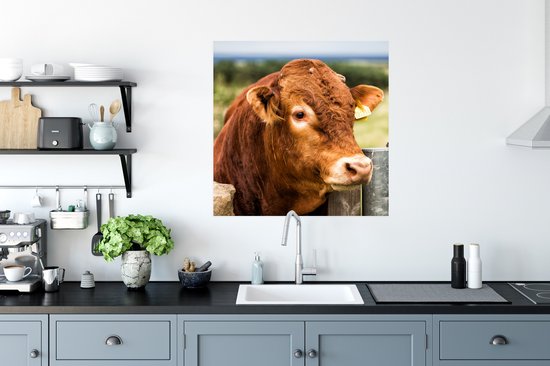 Affiche Highlander écossais - Berg - Clôture - 75x75 cm