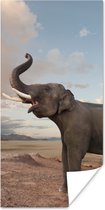Poster Trompetterende olifant in de woestijn - 60x120 cm