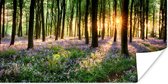 Affiche Forêt - Arbres - Bloem - 160x80 cm