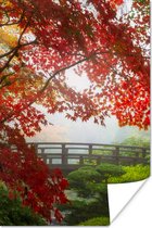 Poster Japanse esdoorn - Bomen - Brug - Natuur - Japans - 40x60 cm