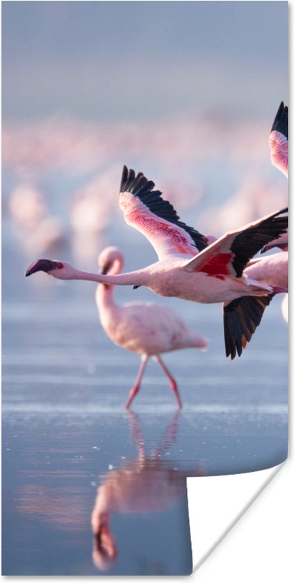 Poster - Fotolijst - Flamingo - Zee - Water - Vogel - Tropical - Frame - 40x80 cm - Poster met lijst - Posterlijst - Poster flamingo - Poster kader - Muurdecoratie