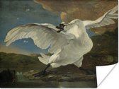 Poster De bedreigde zwaan - Schilderij van Jan Asselijn - 40x30 cm
