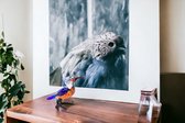 Oiseau en verre Kingfisher 11x8x5 cm
