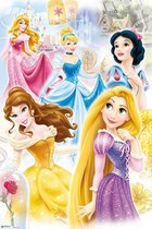 Grupo Erik Disney Princess Group Poster - 61x91,5cm
