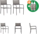 vidaXL Chaises de jardin 2 pcs Chaise de jardin en polyrotin gris avec kit d'entretien