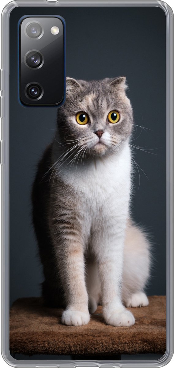 Telefoonhoesje Geschikt voor Samsung Galaxy S20 FE hoesje - Kat - Huisdieren - Licht - Siliconen Telefoonhoesje Telefoonhoesje