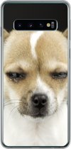 Geschikt voor Samsung Galaxy S10 hoesje - Hond - Huisdieren - Portret - Siliconen Telefoonhoesje
