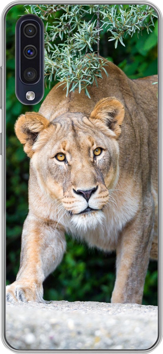 Telefoonhoesje Geschikt voor Samsung Galaxy A30s hoesje - Leeuwinnen - Wilde dieren - Jacht - Siliconen Telefoonhoesje Telefoonhoesje