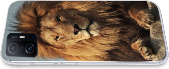 Telefoonhoesje Geschikt voor Xiaomi 11T Pro hoesje - Leeuw - Rots - Portret - Siliconen Telefoonhoesje Telefoonhoesje