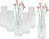 6 stuks ronde mini-vaasjes type 263, kleine decoratieve flesjes, flesvaasjes, glazen flessen bloemenvaas (6 stuks)