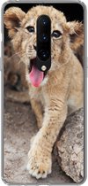 Geschikt voor OnePlus 7 Pro hoesje - Welp - Leeuwen - Schattig - Siliconen Telefoonhoesje