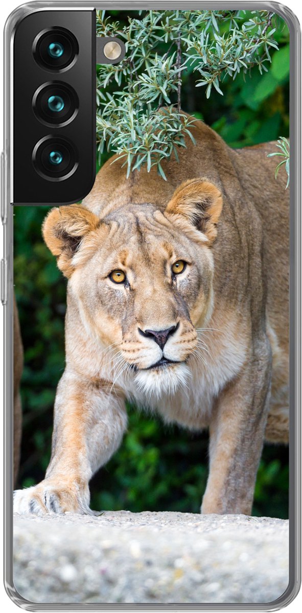 Telefoonhoesje Geschikt voor Samsung Galaxy S22 hoesje - Leeuwinnen - Wilde dieren - Jacht - Siliconen Telefoonhoesje Telefoonhoesje
