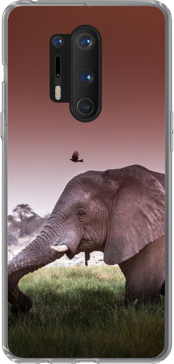 Telefoonhoesje Geschikt voor OnePlus 8 Pro hoesje - Olifant - Gras - Zon - Dieren - Siliconen Telefoonhoesje Telefoonhoesje
