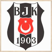 besiktas poster | Beşiktaş posters | 50 x 50 cm | voetbal poster