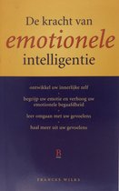 De kracht van emotionele intelligentie