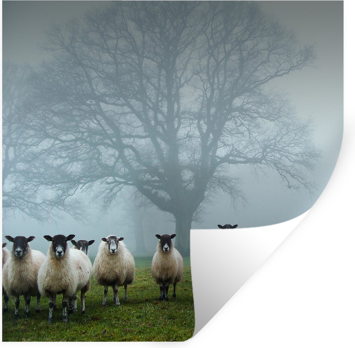 Muurstickers - Sticker Folie - Schapen - Boom - Mist - 100x100 cm - Plakfolie - Muursticke