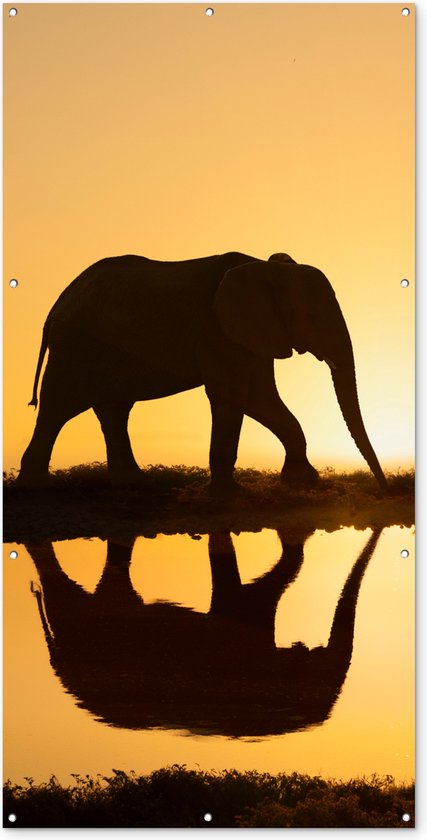 Silhouet van een olifant bij zonsondergang