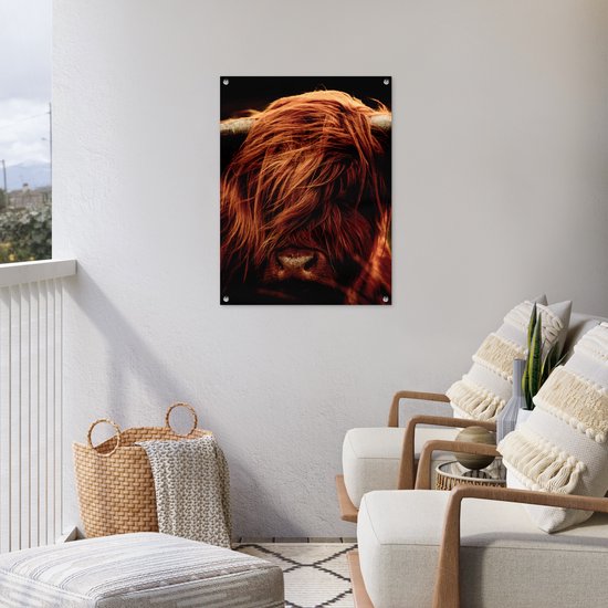 Tableau de jardin Scottish Highlander - Vache - Cornes - Portrait - Animaux - 60x80 cm - Affiche jardin - Toile jardin - Affiche extérieur