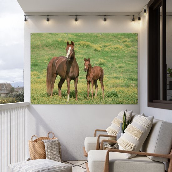 Décoration murale murale Paarden - Herbe - Marron - 180x120 cm - Affiche de jardin - Toile de jardin - Poster extérieur