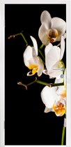 Deursticker Orchidee - Bloemen - Planten - Botanisch - 75x205 cm - Deurposter