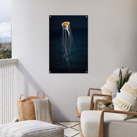 Méduse sur fond sombre affiche de jardin toile en vrac 60x90 cm - Toile de jardin / Toile d'extérieur / Peintures pour l'extérieur (décoration de jardin)