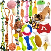 Jouets pour chiens, 19 pièces de speelgoed pour chiens, pour des dents robustes, speelgoed à mâcher, durables, ensemble de dressage dentaire pour chiens de petite et moyenne taille, ensemble de jeu interactif, indestructible, nœud en coton, corde