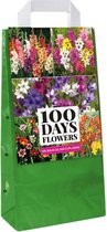 125 Gemengde Bloembollen - Gladiolen - Babiana Stricta Mix - Ixia Mix - Sparaxis Mix - Crocosmia Mix - 100 Dagen Bloemen - Garden Select