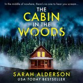 The Cabin in the Woods: A dark and gripping psychological thriller with a twist you won’t see coming