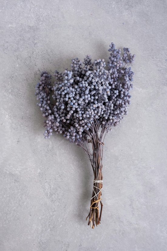 Couronne - Decoratiemateriaal 'Pepperberry' (200gr, Lilac)