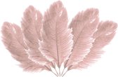 Chaks Struisvogelveren/sierveren - 10x - oud roze - 20-25 cm - decoratie/hobbymateriaal