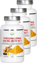 Nutrivian | Curcuma Longa 500mg | 60 Capsules | 3 stuks | 3 x 60 capsules
