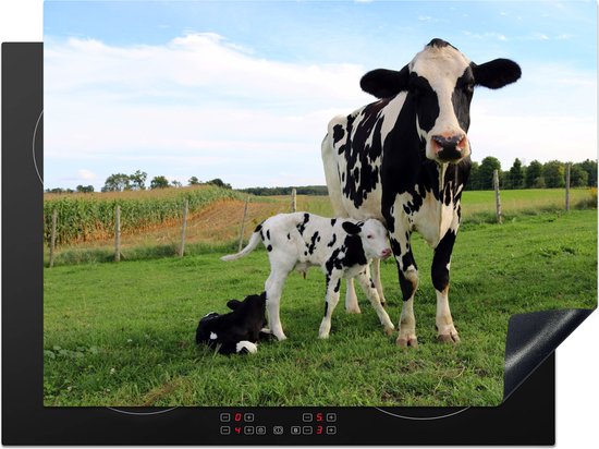 Een zwart-wit gevlekte koe en kalf in een groene wei, bovenop een inductiekookplaat.