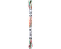 DMC Mouline Coloris Borduurgaren