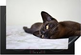 KitchenYeah® Inductie beschermer 78x52 cm - Burmese kat ligt lekker op een deken - Kookplaataccessoires - Afdekplaat voor kookplaat - Inductiebeschermer - Inductiemat - Inductieplaat mat