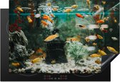 KitchenYeah® Inductie beschermer 77x51 cm - Kleine visjes in een aquarium - Kookplaataccessoires - Afdekplaat voor kookplaat - Inductiebeschermer - Inductiemat - Inductieplaat mat