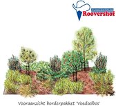 Borderpakket 'Voedselbos' - diverse fruitgewassen - 21 planten - 25 m²