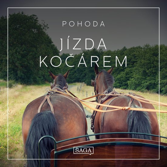Pohoda - Jízda kočárem - cover