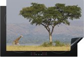 KitchenYeah® Inductie beschermer 78x52 cm - Een giraffe op de savanne van het Nationaal park Murchison Falls - Kookplaataccessoires - Afdekplaat voor kookplaat - Inductiebeschermer - Inductiemat - Inductieplaat mat
