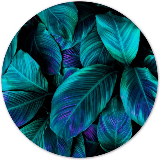 Label2X - Cercle mural plant verte violette - Ø 40 cm - Dibond - Multicolore - Cercle mural - Tableau rond - Décoration murale Cercle - Décoration murale ronde - Décoration pour salon ou chambre