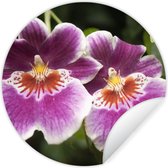 WallCircle - Muurstickers - Behangcirkel - Wilde orchidee - ⌀ 30 cm - Muurcirkel - Zelfklevend - Ronde Behangsticker
