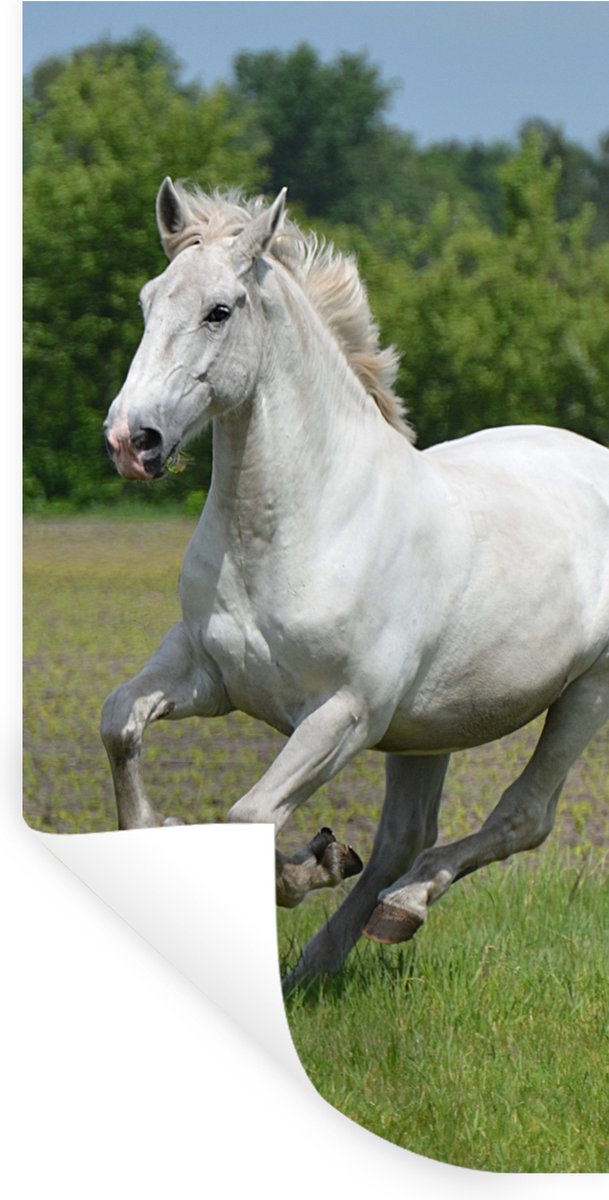 Muurstickers - Sticker Folie - Paarden - Natuur - Wit - 80x160 cm - Plakfolie - Muursticke