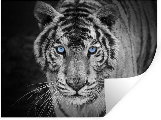 Muurstickers - Sticker Folie - Dieren - Tijger - Zwart wit - Ogen