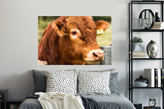 Stickers muraux - Film autocollant - Highlander écossais - Berg - Clôture - 120x80 cm - Film adhésif - Stickers muraux chambre d'enfant - Papier peint autocollant - Papier peint autocollant - Film autocollant