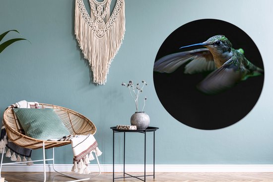 Wall Circle - Wall Circle Indoor - Colibri - Vogel - Ressorts - Zwart - ⌀ 120 cm - Décoration murale - Peintures Ronds XXL