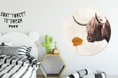 Cercle Mural - Cercle Mural Intérieur - Highlander écossais - Vache - Bloem - ⌀ 140 cm - Décoration murale - Peintures Ronds