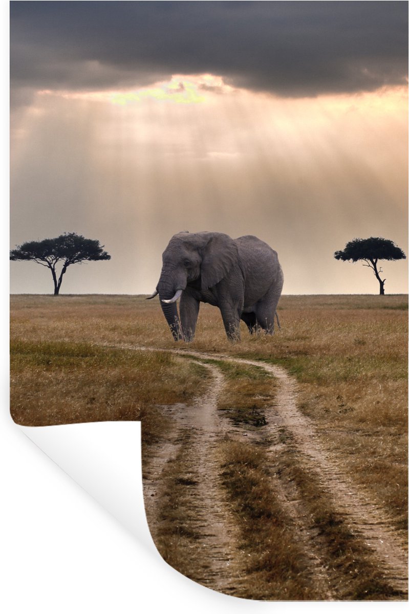 Muurstickers - Sticker Folie - Olifant - Dieren - Grasvlakte - Zon - 40x60 cm - Plakfolie 
