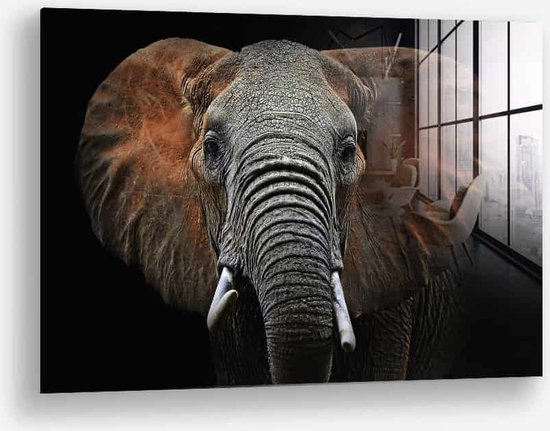 Wallfield™ - Wild Elephant | Glasschilderij | Gehard glas | 40 x 60 cm | Magnetisch Ophangsysteem