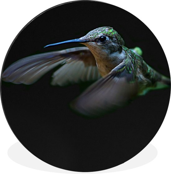 Wall Circle - Wall Circle - Colibri - Vogel - Ressorts - Zwart - Aluminium - ⌀ 140 cm - Intérieur et Extérieur
